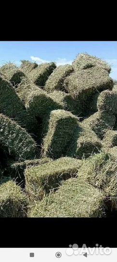 Сено в тюках