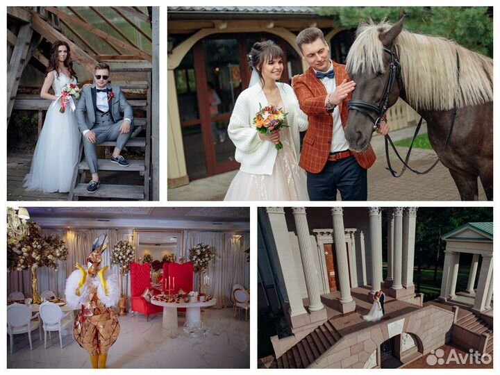 Профессиональный фотограф видеооператор кино