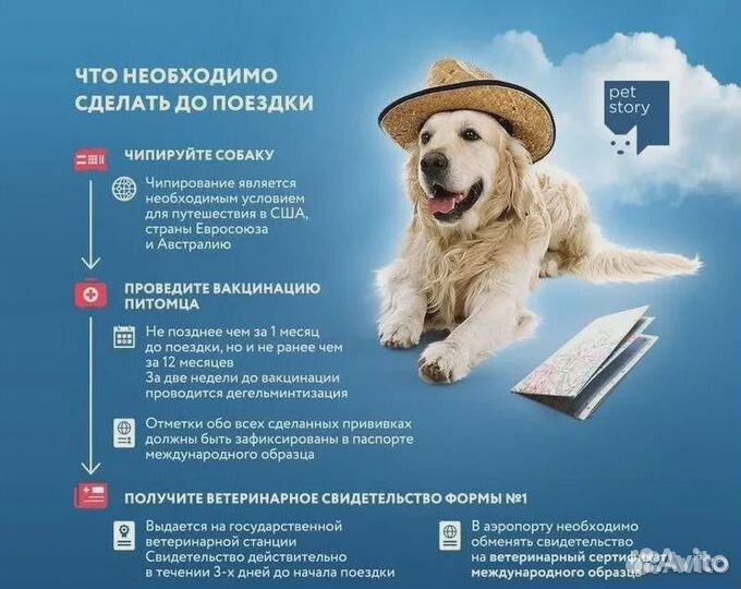 Ветеринарный паспорт, титры, справка Ф1