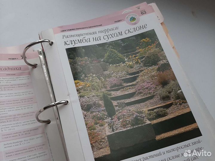 Сад моей мечты