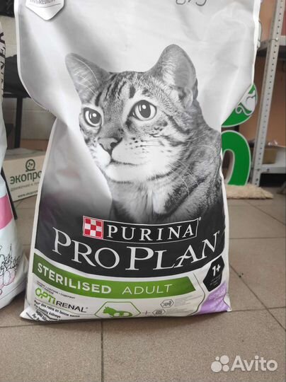 Корм для стерилизованных кошек про план