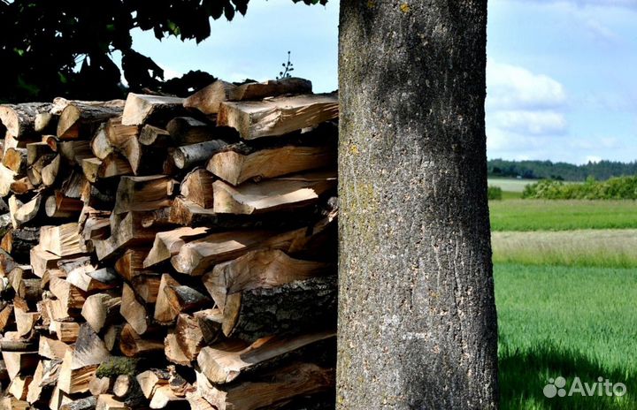 Дрова в камин