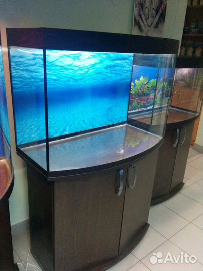 Аквариум 200 полукруг, свет, фон, биофильтр, тумба