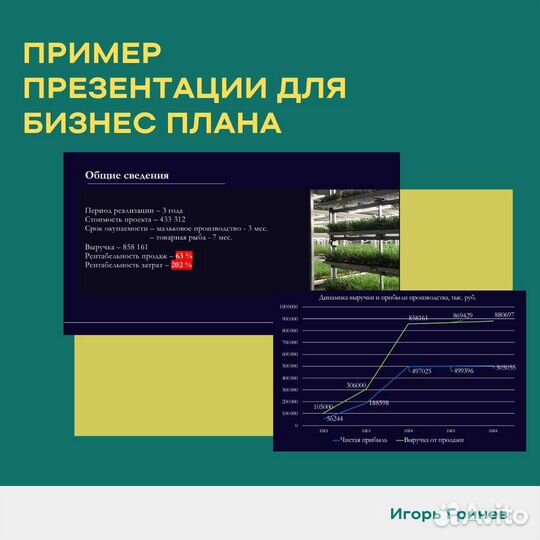 Написание бизнес плана (бизнес план)