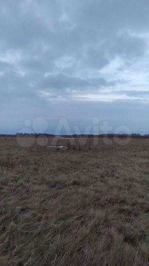 Участок 11 сот. (ИЖС)