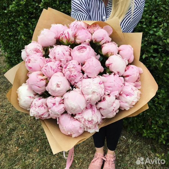 Свежие пионы, цветы от производителя. 24/7