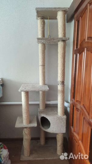 Игровой комплекс для кошек с домиком