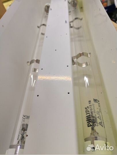 Бактериальная лампа philips tuv 15w