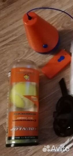 Товары для кошек