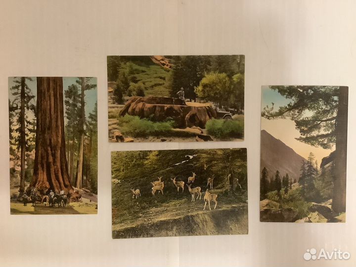 Старинные открытки США