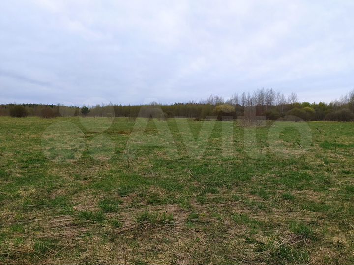 Участок 30 сот. (ИЖС)