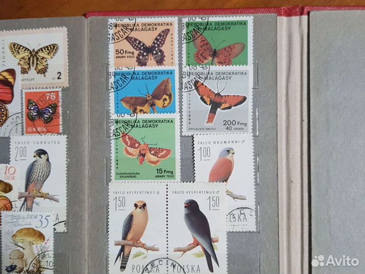 Почтовые марки грибы, бабочки