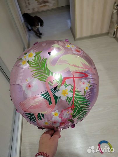 Воздушныйшар