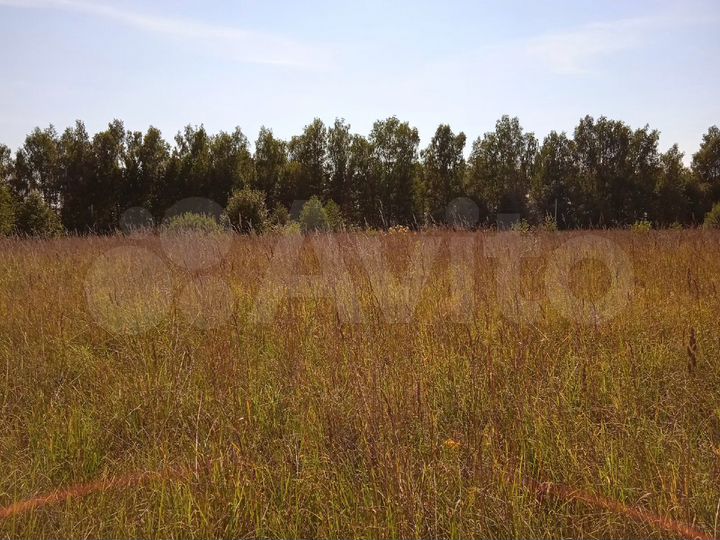 Участок 20 сот. (СНТ, ДНП)