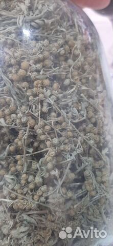 Полынь сушеная