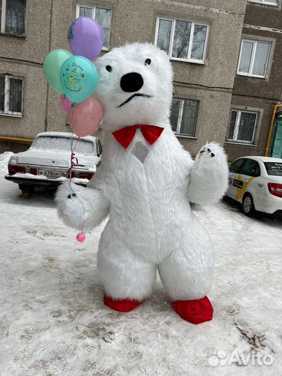 Белый мишка поздравление ростовой