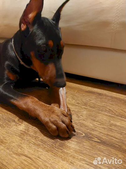 Вкусняшки для собак. ту и гост качество