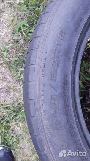 Goodyear Eagle F1 Supercar 65/50 R19