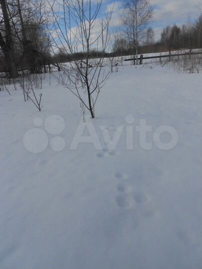 Участок 77 сот. (ИЖС)