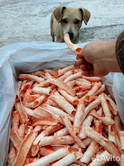 Корм для собак