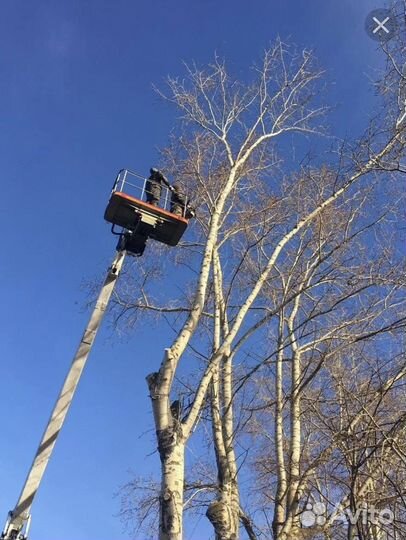 Измельчение веток деревьев