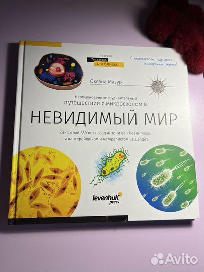 Энциклопедия для детей про невидимый мир