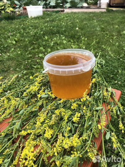 Меда Алтайские Оптом