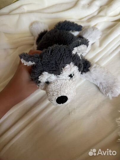 Плюшевая собака