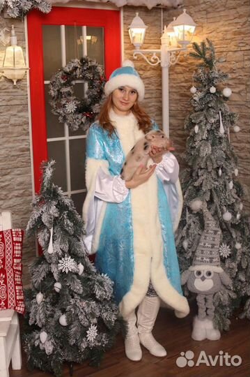 Дед Мороз фокусник с зверушками и Снегурочкой