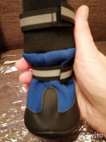 Обувь для собак