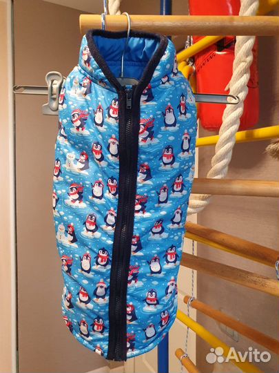 Костюм для средней собачки