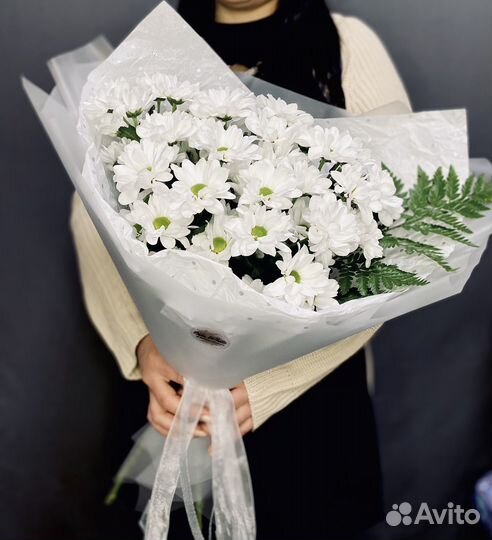 Хризантемы кустовые ромашка