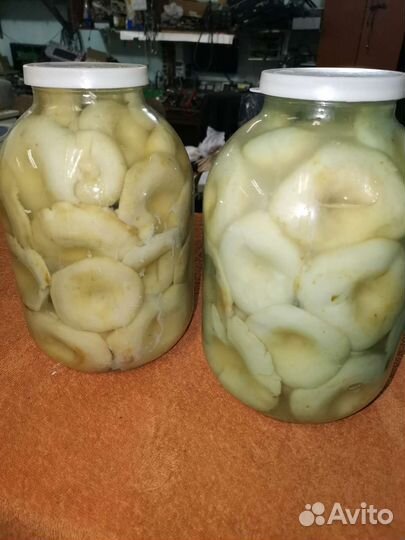 Грибы грузди солёные