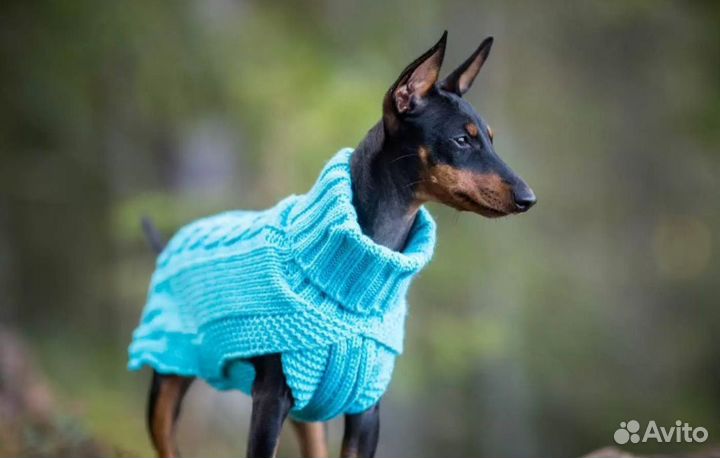 Свитер для собак Rukka Pets L