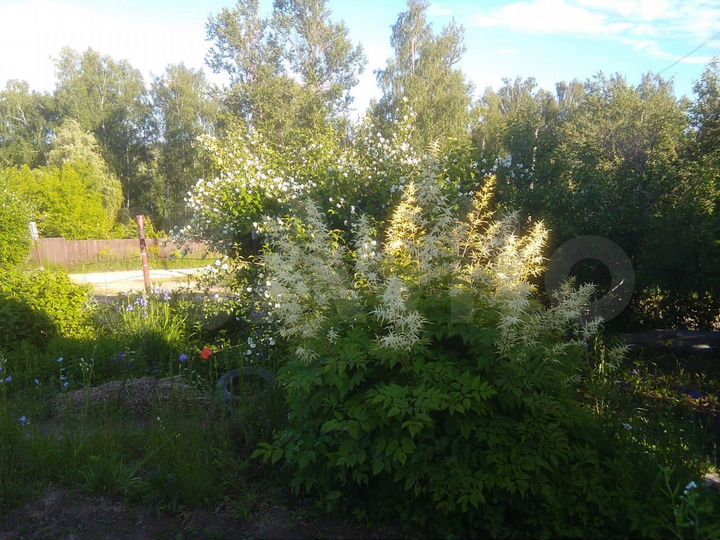 Участок 7,3 сот. (СНТ, ДНП)