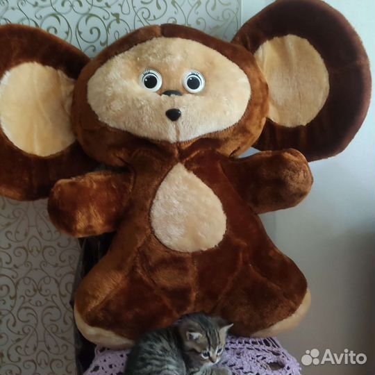 Мягкая игрушка чебурашка