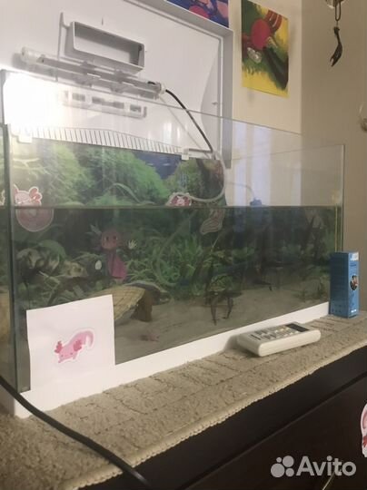 Продаю аквариум(или обмен на террариум)