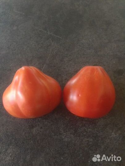 Семена томатов