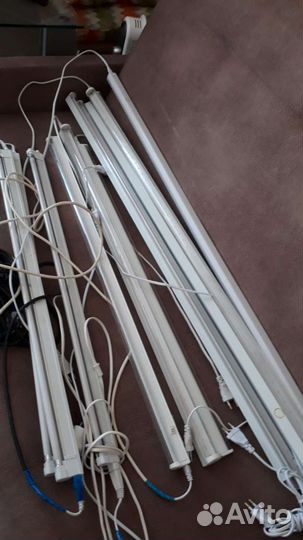 Фитолампа для растений