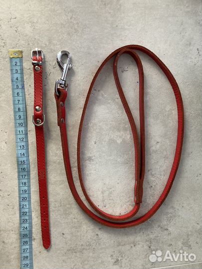 Комплект ошейник и поводок