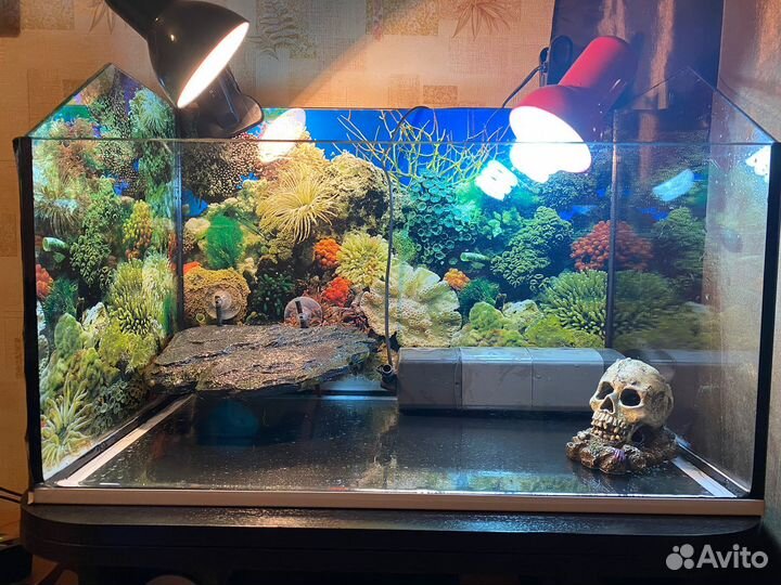 Аквариум (Террариум)