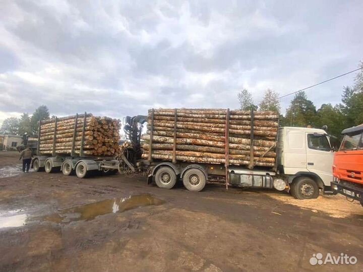 Дрова на дачу