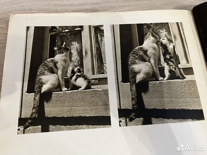 Мой опыт работы с (фотоаппаратом) Leica