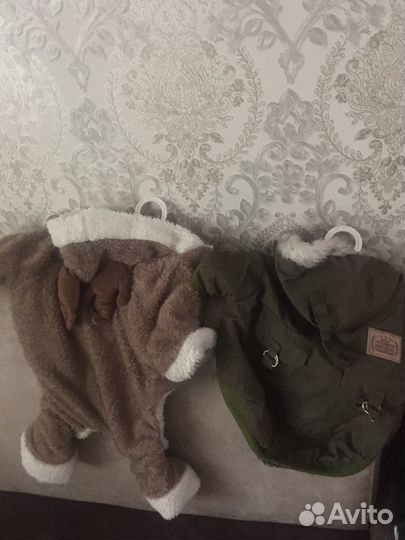 Одежда для собак мелких пород