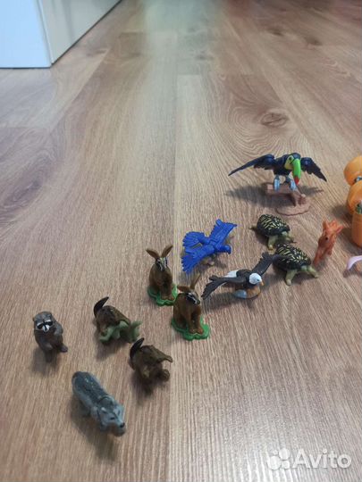 Волк енот олень бегемот