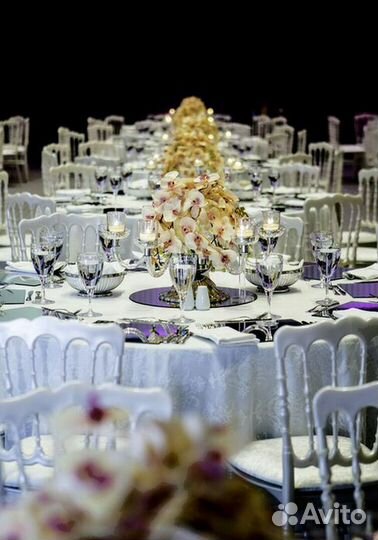 Ресторанные стулья Кьваяри