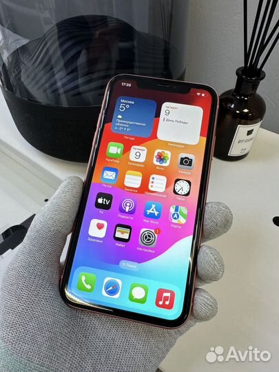 iPhone Xr, 64 ГБ