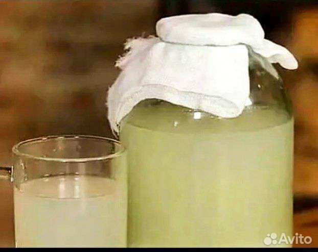 Квас домашний хлебный, рисовый и медовый,овсяный