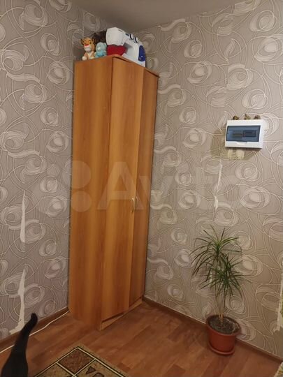 Квартира-студия, 24,6 м², 5/11 эт.