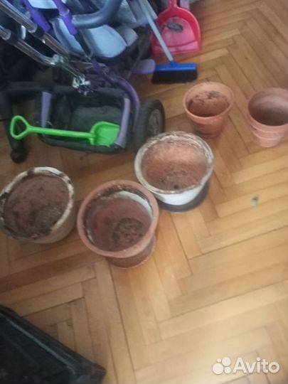 Горшки и цветы много Пушкин